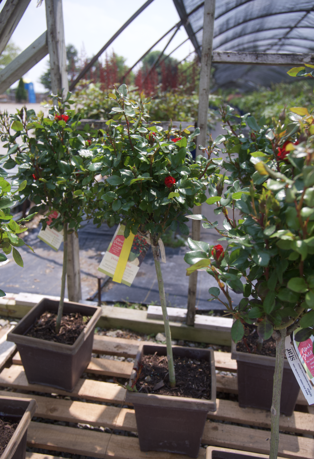 Screenshot 2025-07-21 at 12.19.37 AM