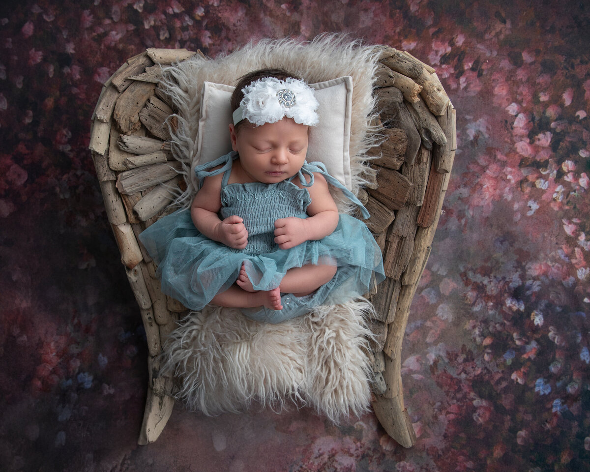 angel-wings-newborn-prop