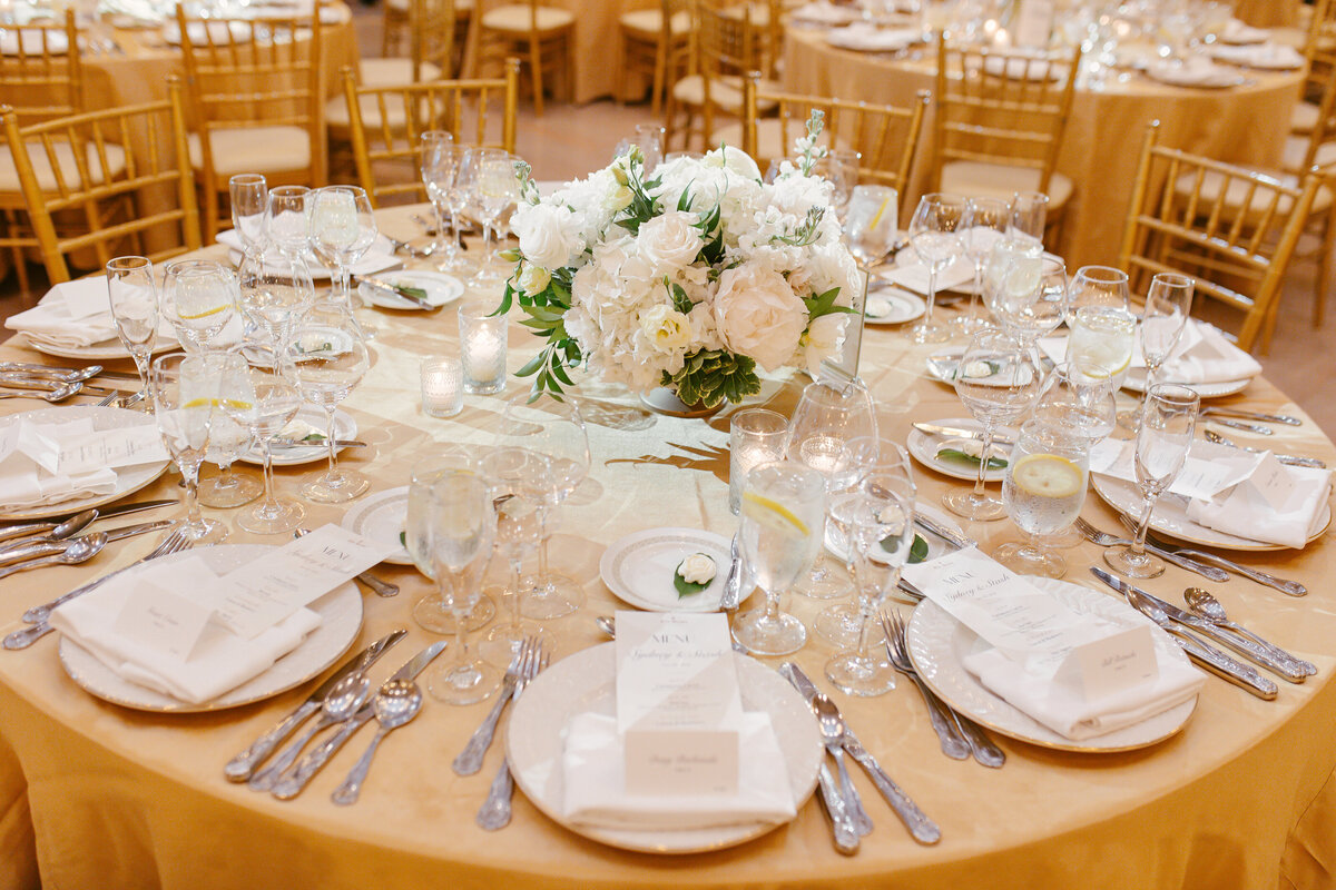 Chicago luxury editorial wedding photographer (The Drake hotel Princess Diana Suite Milton Lee Olive Park) 14-6