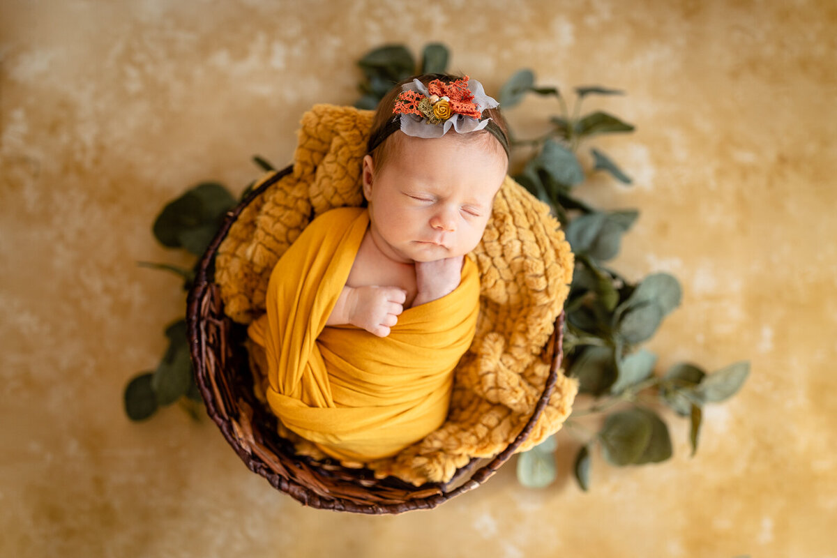 Newborn-Photographer-Illinois-Indiana-42