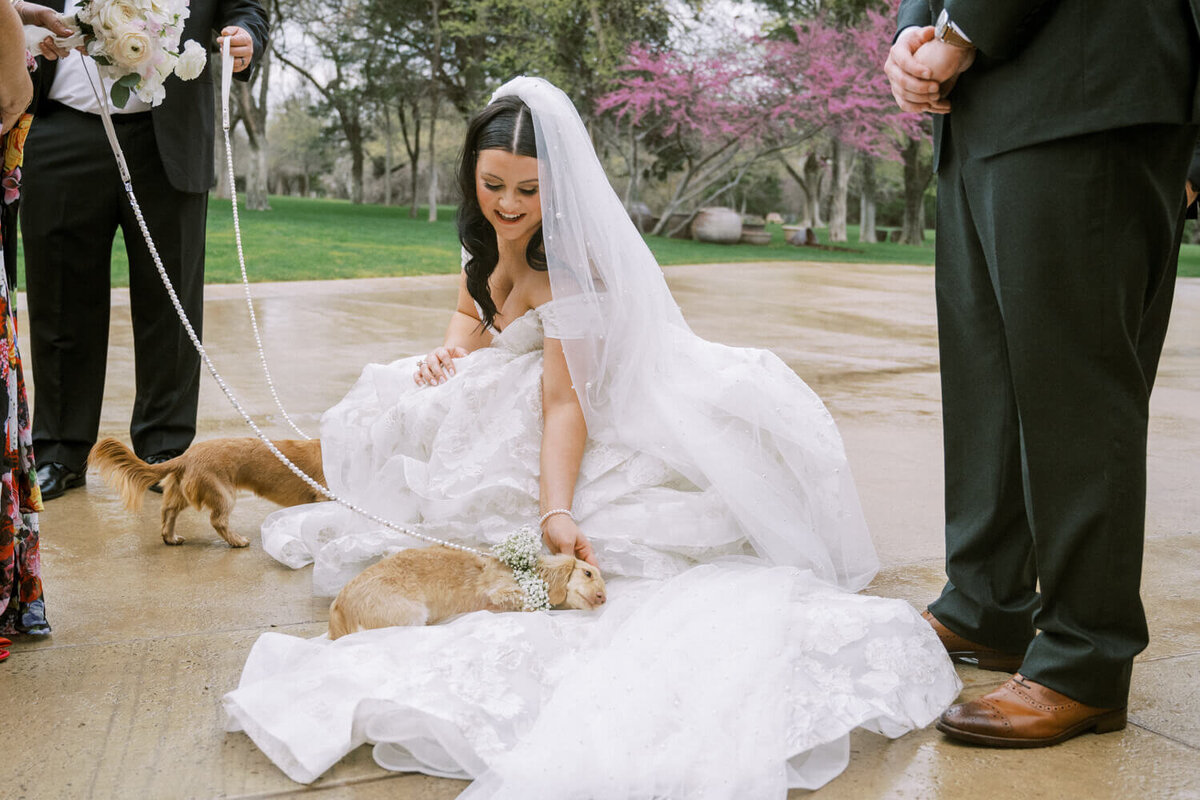 bride-with-flower-dogs-laying-on-dress