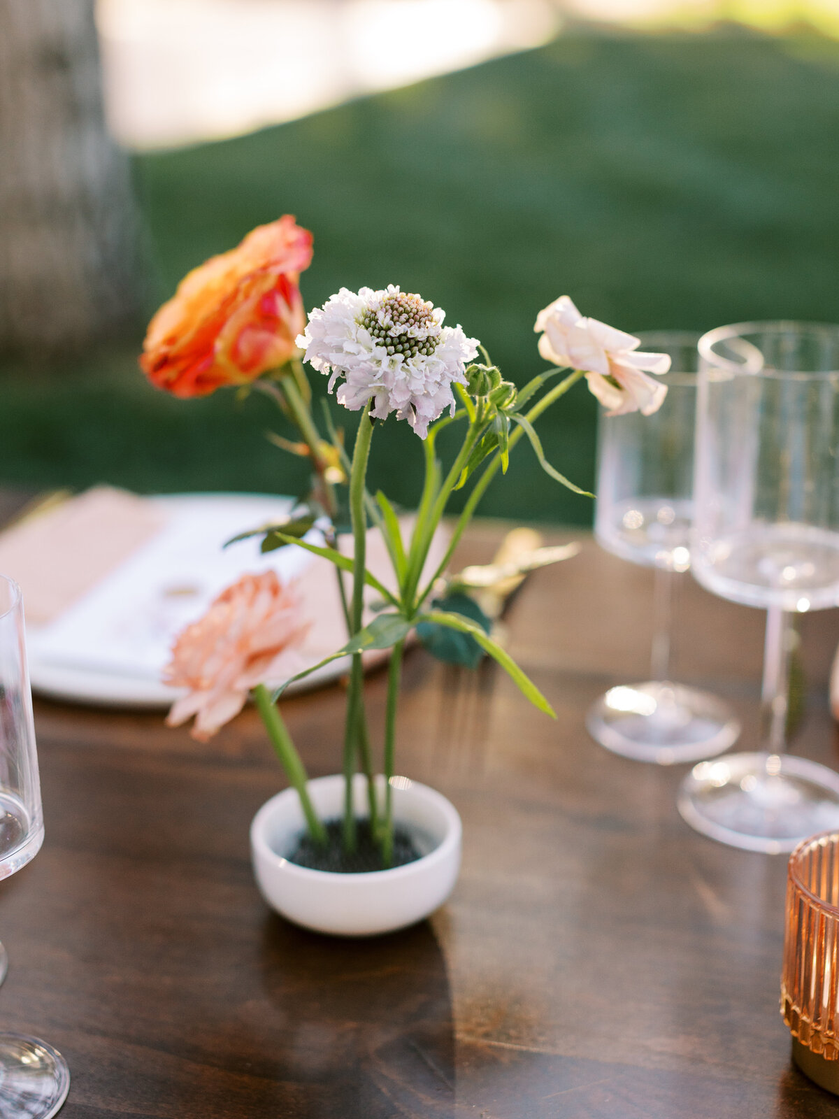 020_Sara_Bishop_Spring_Meadows_Schnepf_Farms_March 05_ 2024