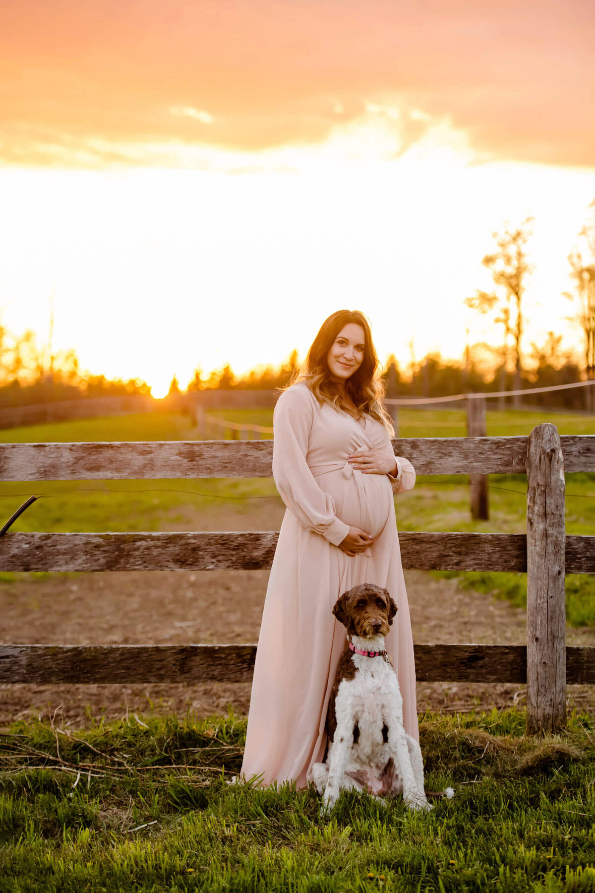 pregnant woman wearing a pink dress with her dog and the golden hour sunlight behind them for her outdoor summer maternity photos in Burlington