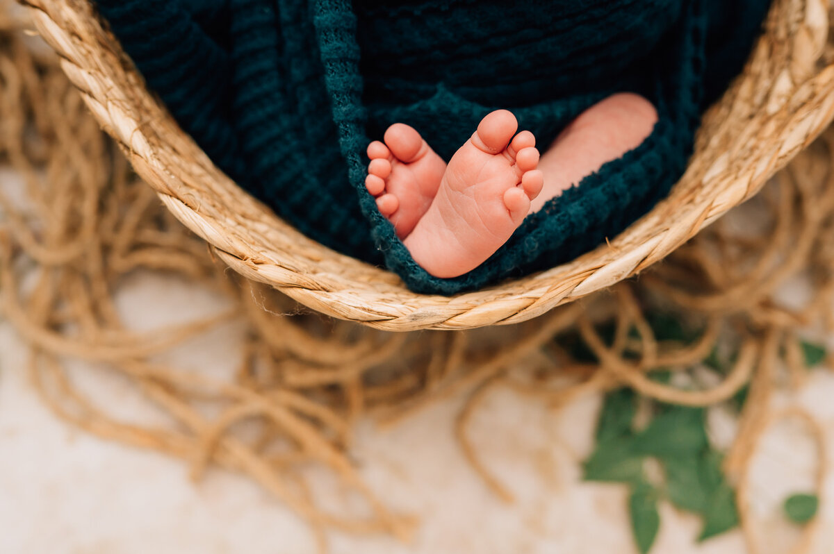 Canton CT Baby & Family Photographer | Burlington, Connecticut Family Photography-1