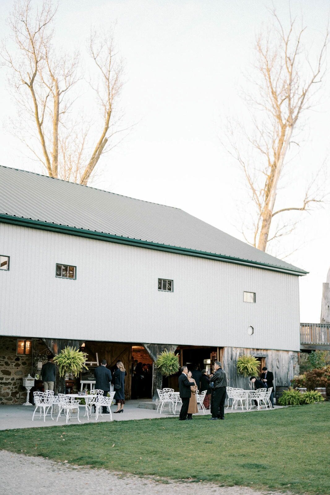 W11-Wedding-Photos-Caledon-Valley-Estate-Eleanor-and-Michael-2024-11-02-2500px-1166