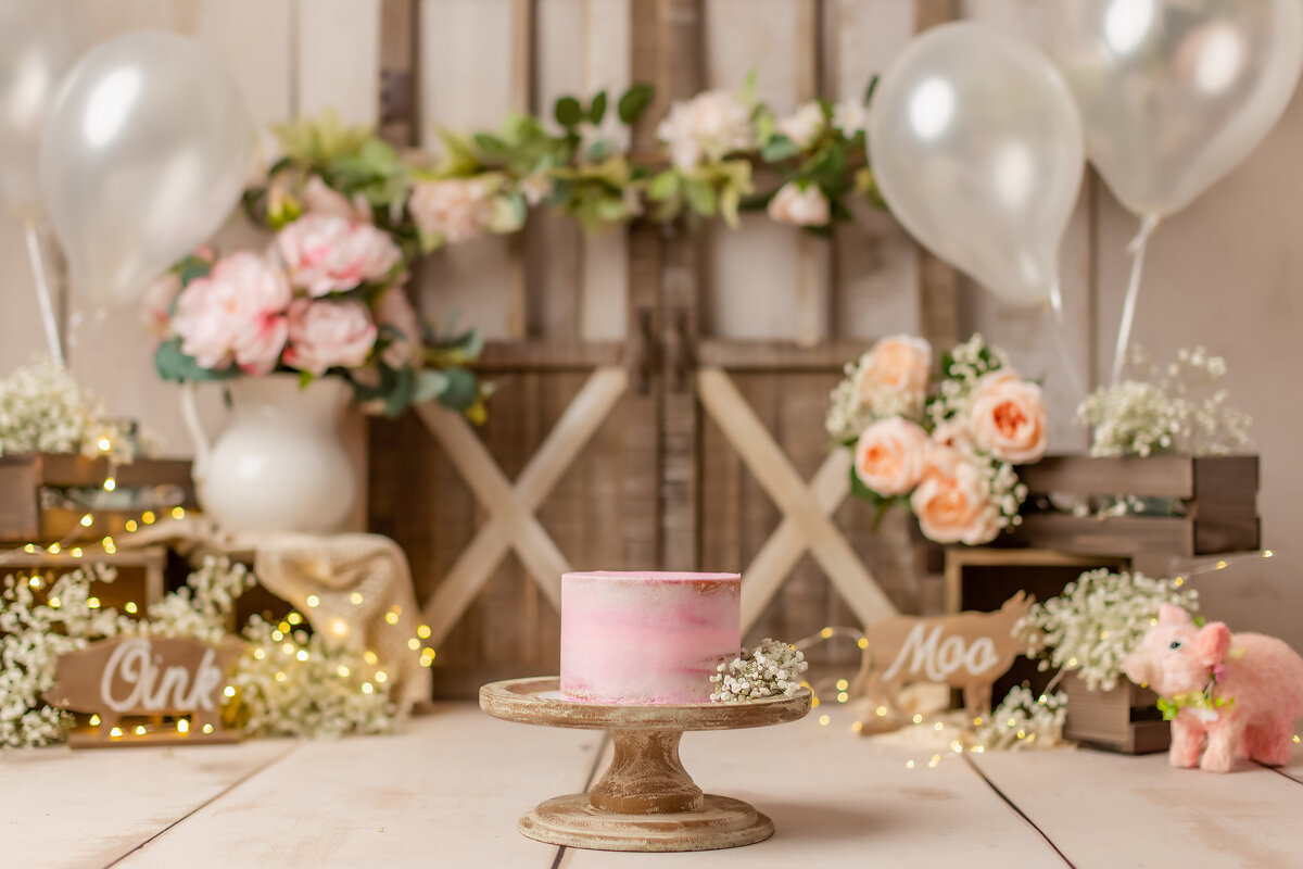 Country Vintage Theme Huntsville AL Best Cake Smash First Birthday Photographer Studio