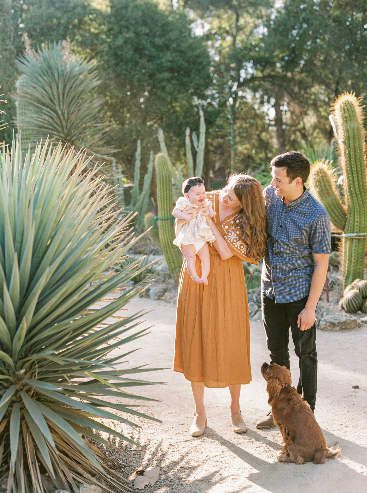 Olivia Marshall Photography- Cactus Desert Garden Family Photos-15