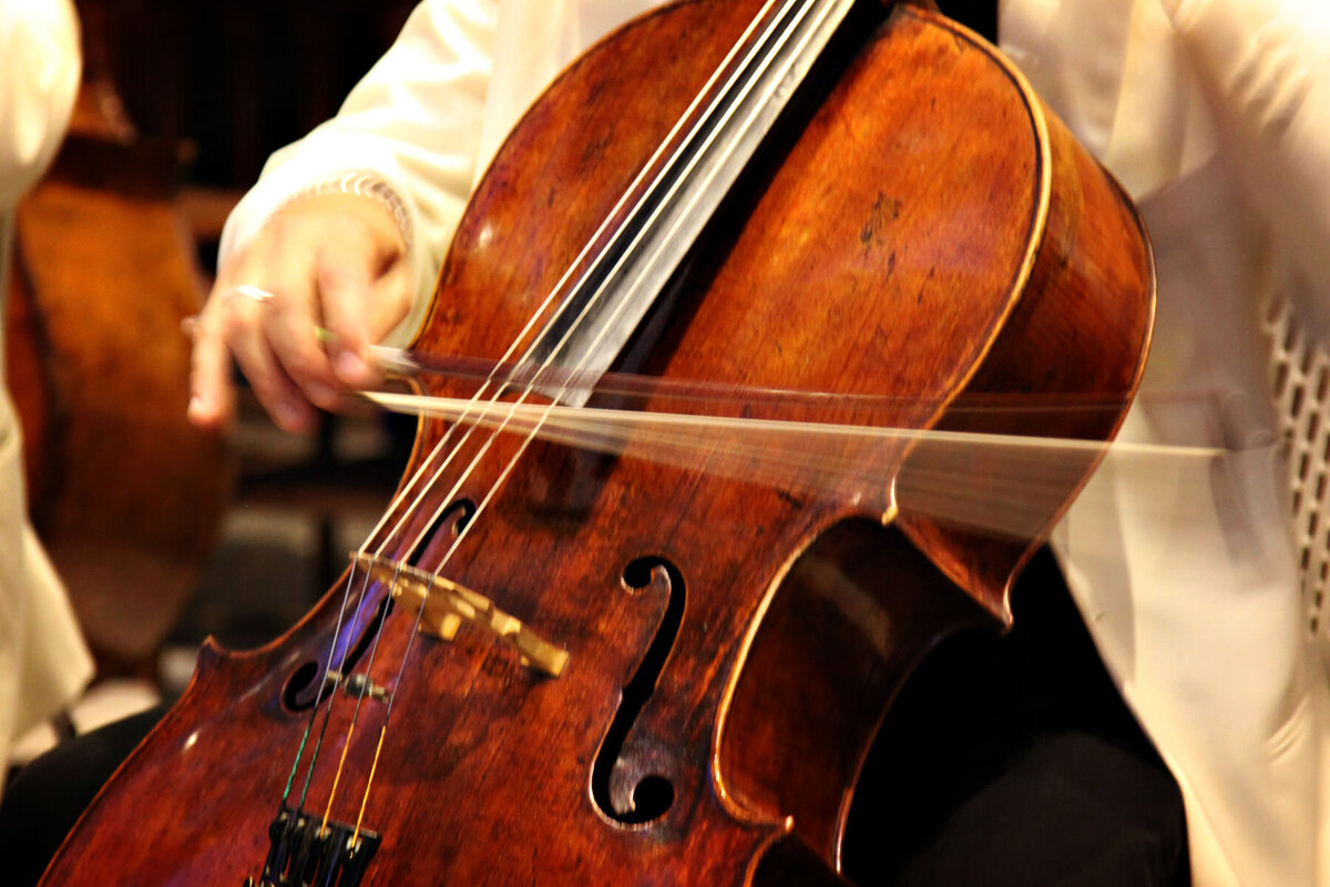 LES Oxford Cello