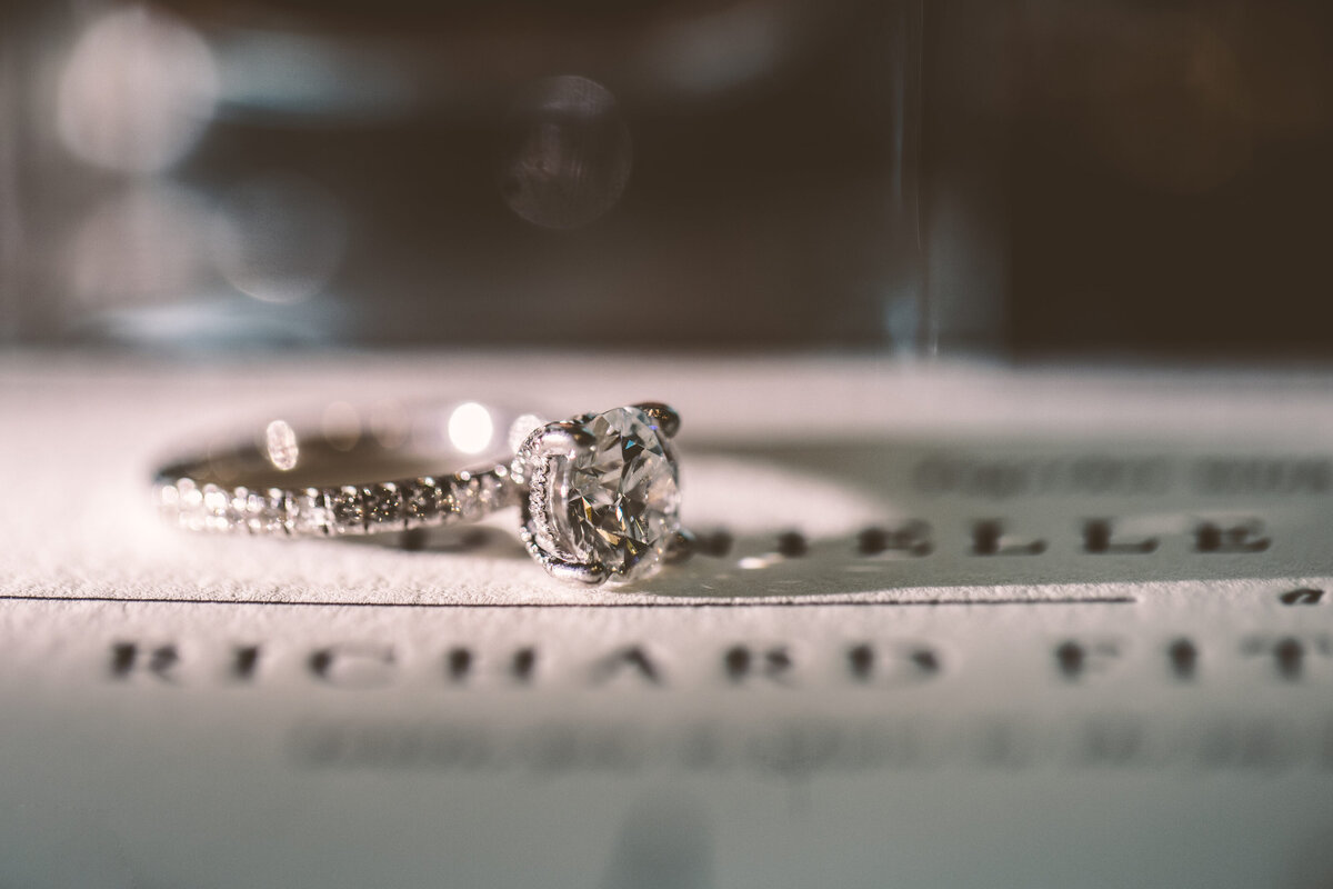 The_Park_Savoy_Wedding-DR-0007