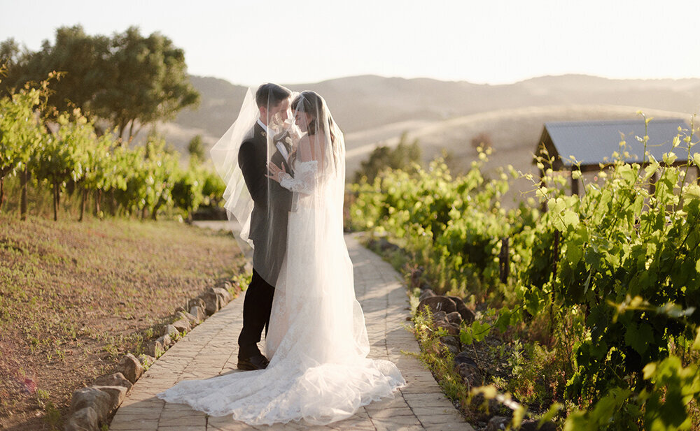 Ashley + John Sonoma Viansa Winery Vineyard Wedding Cassie Valente Photography