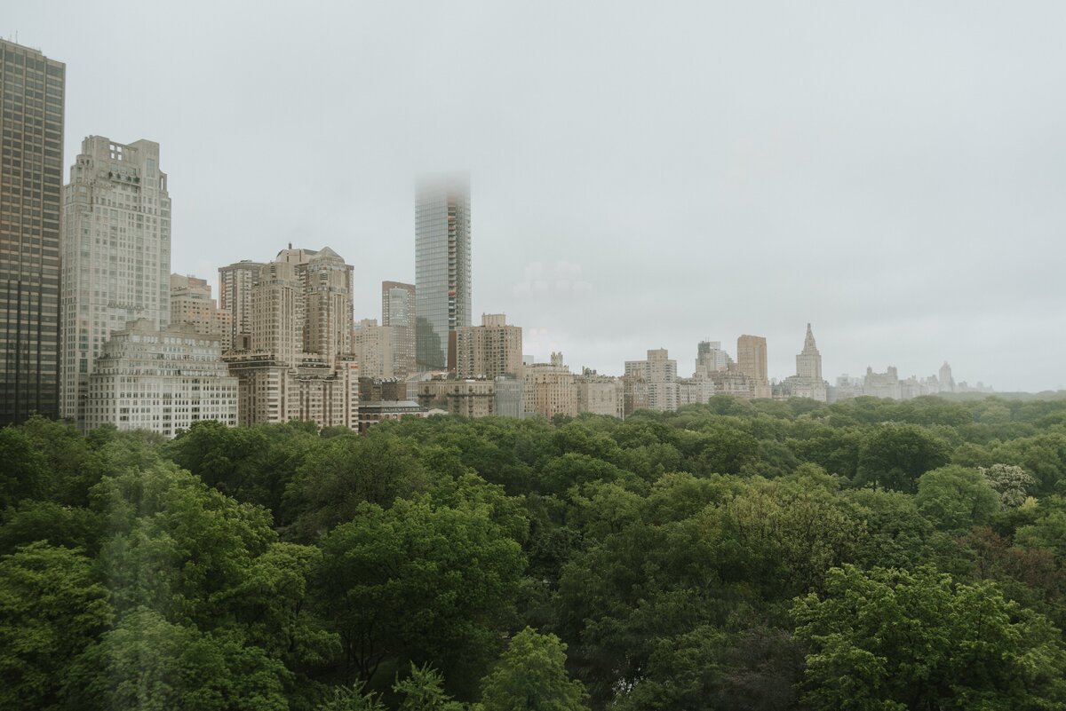Faye-Fern-Creative-MariaBLung-Meg-Brandon-New-York-Athletic-Club-St-Patricks-Cathedral-Wedding-Reception-Details-02