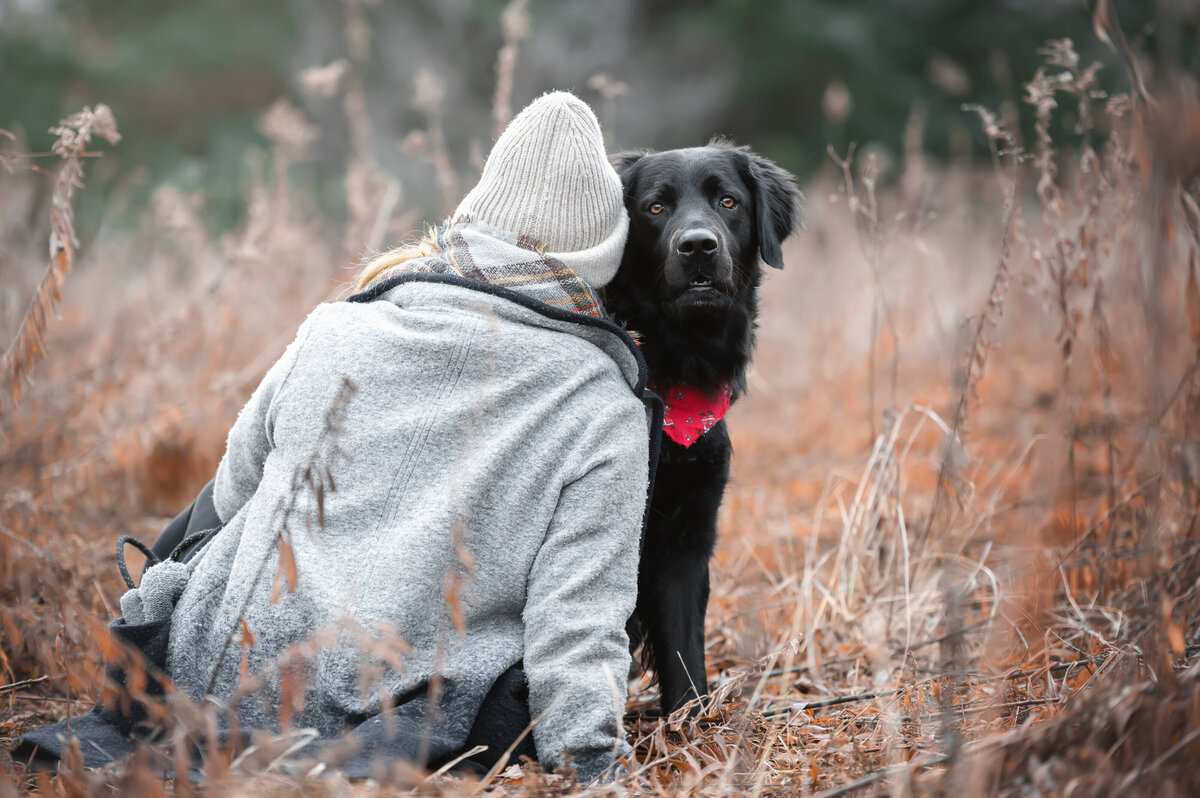 Pet Photography Gatineau  (3)