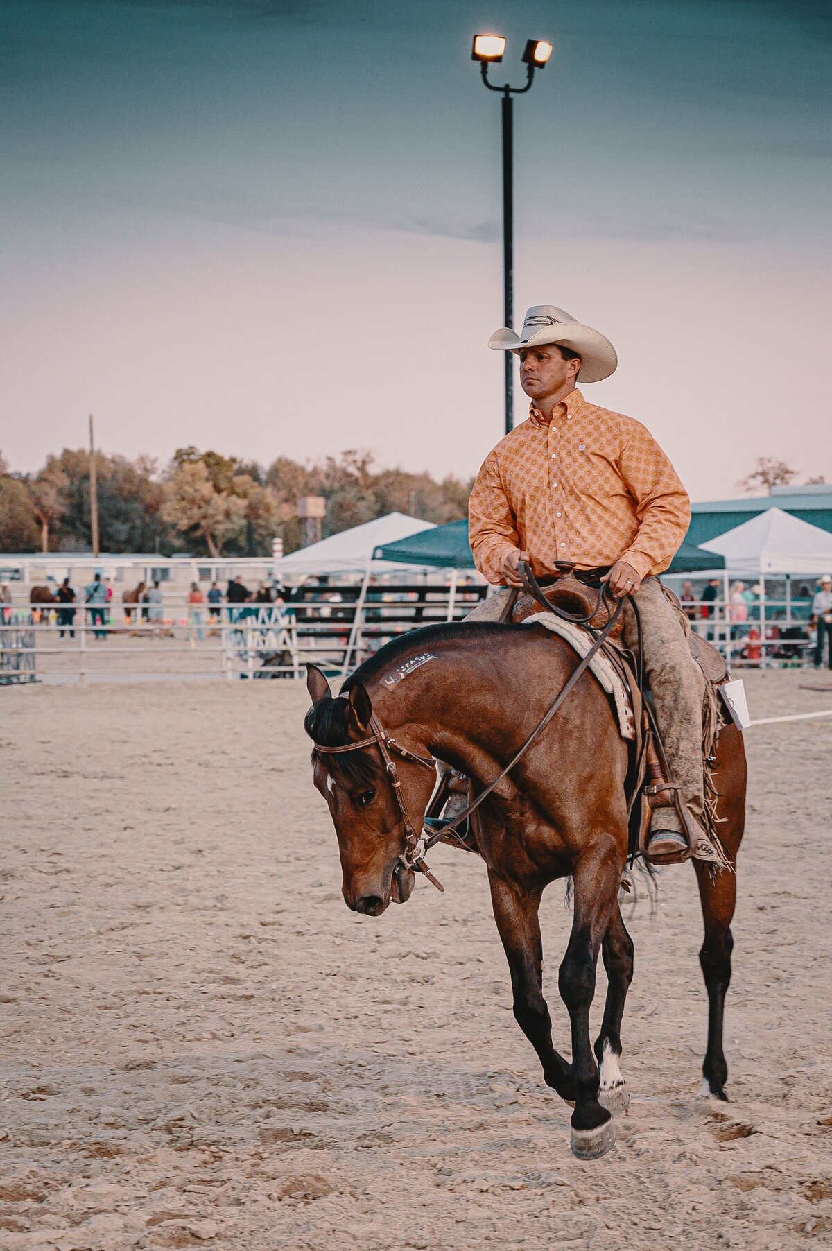 pexels-brett-sayles-2980870