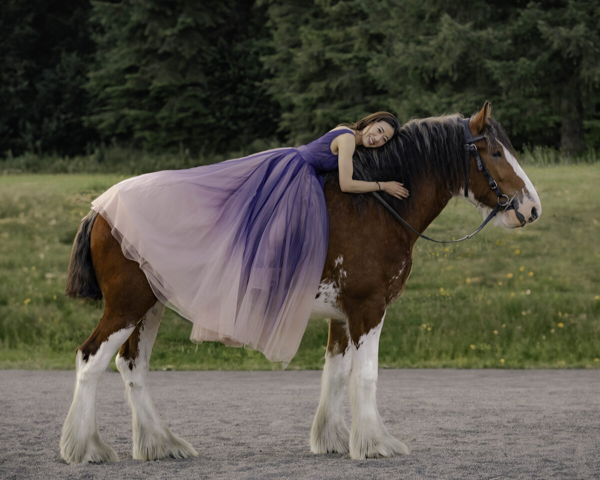 seattle-equine-photoghrapher-9