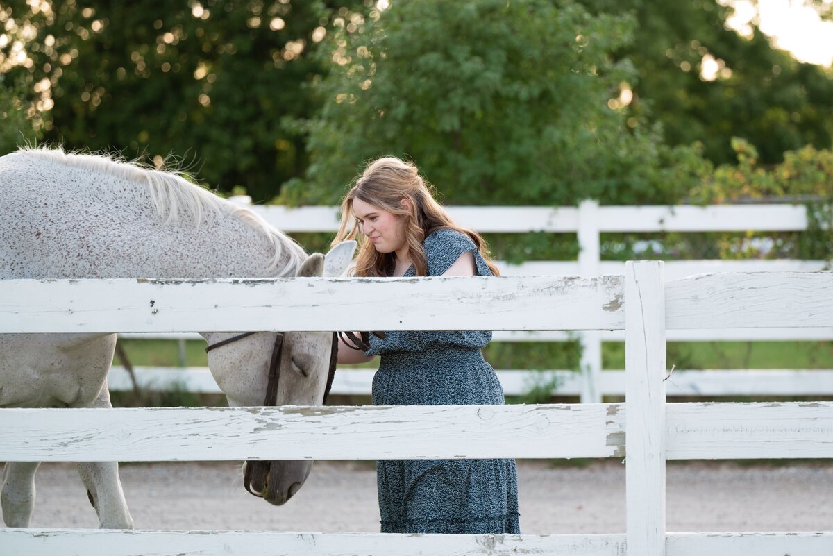 equine-portrait-plymouth-michigan-7