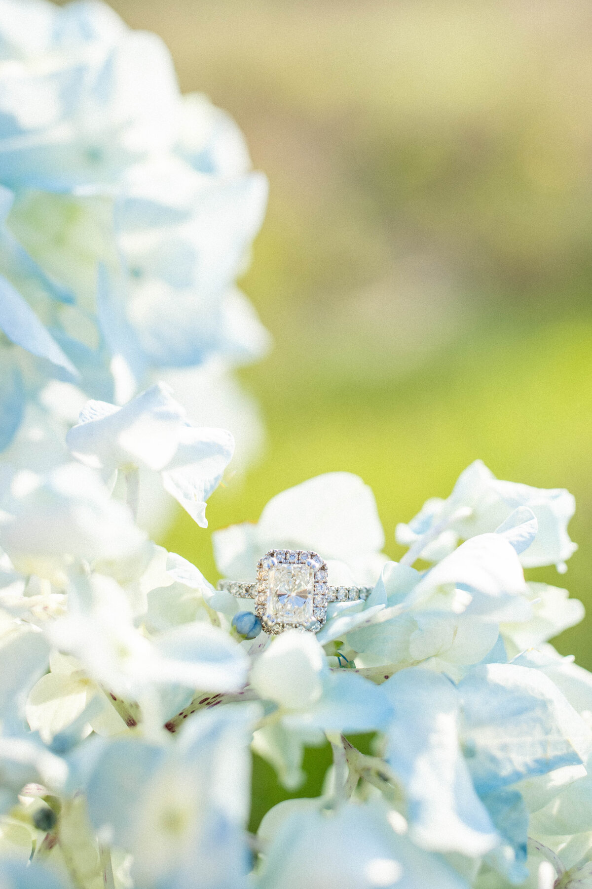 MXCMediaPhotography - Brooke & Chris Engagement - 50