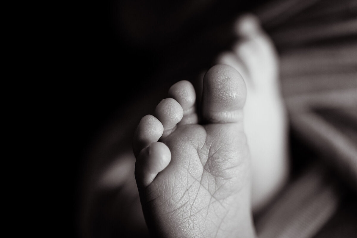 Newborn-Photographer-Illinois-Indiana-39