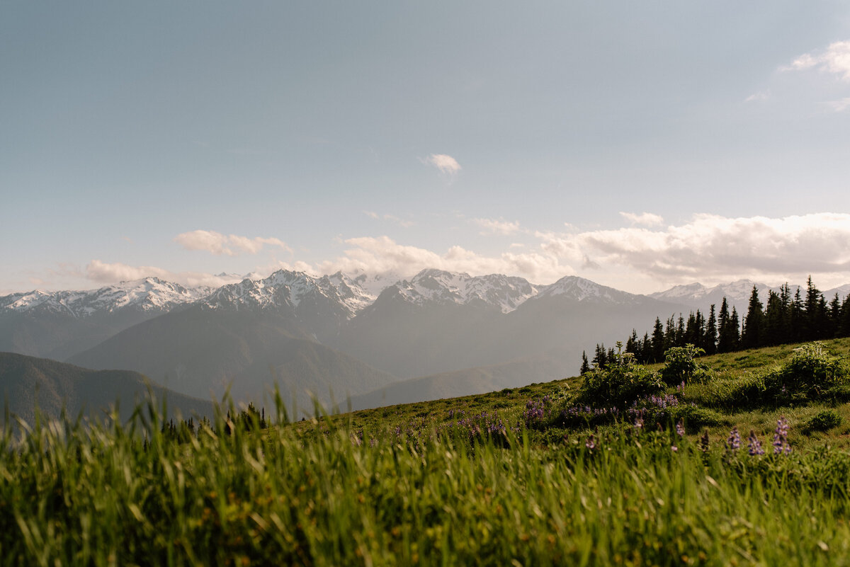 hurricane_ridge_golden_hour_olympic_national_park_1