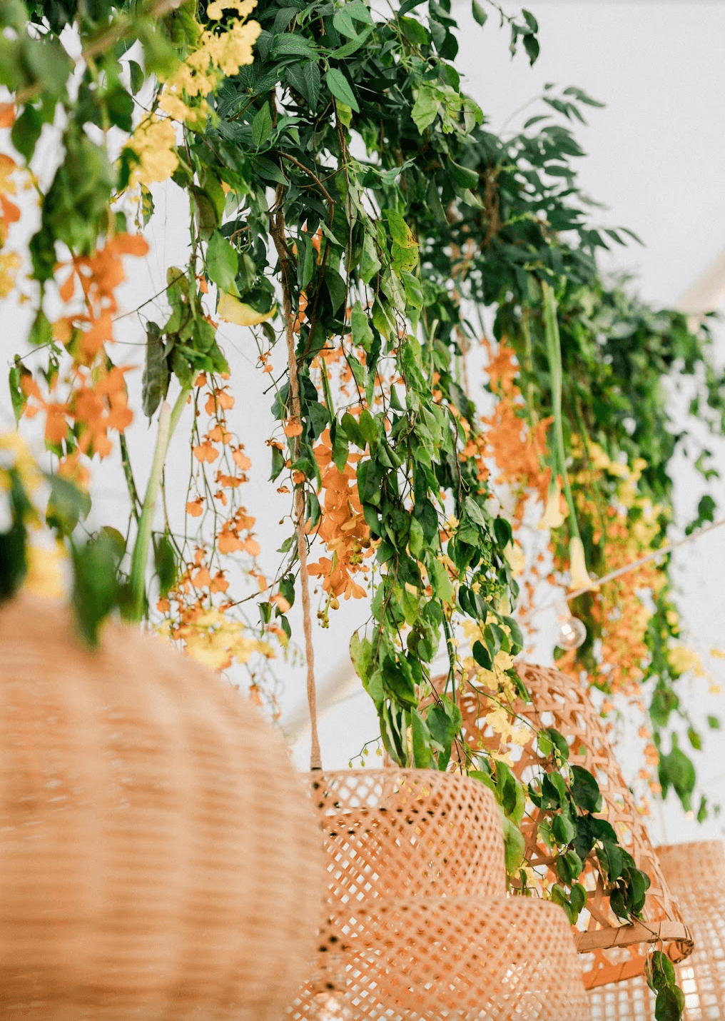 Screenshot 2025-11-25 at 8.57.32 AM