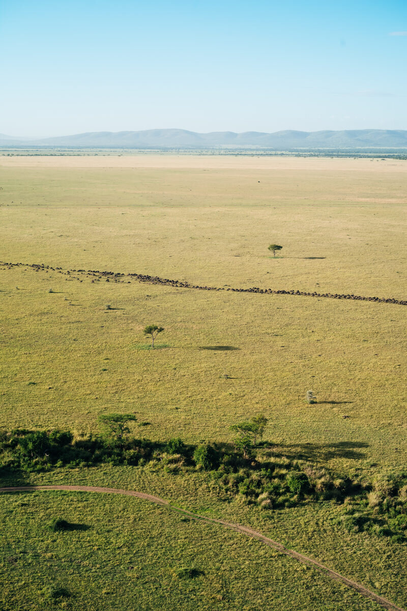 leila-brewster-photography-tanzania-0837