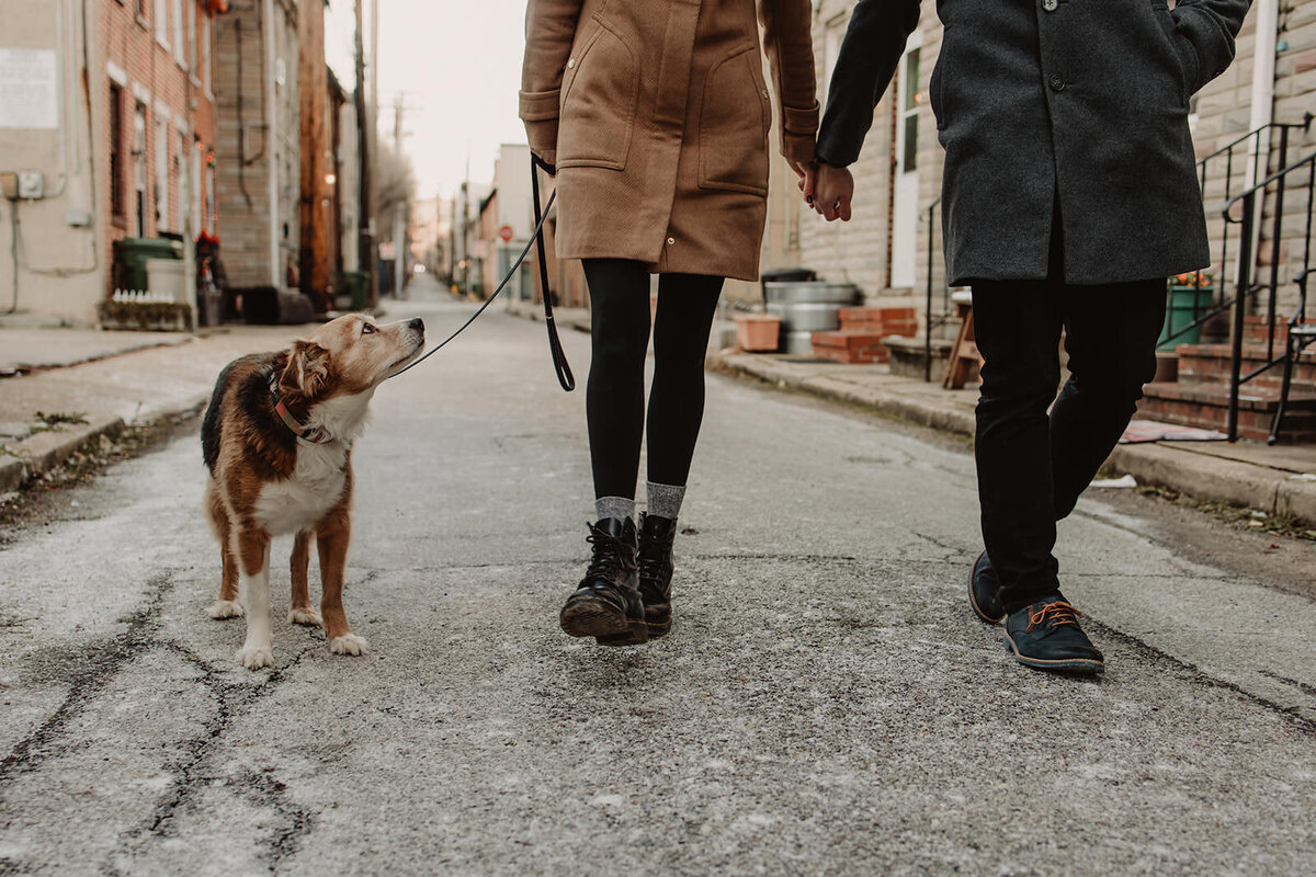 A dog looking up at two people walking with it 