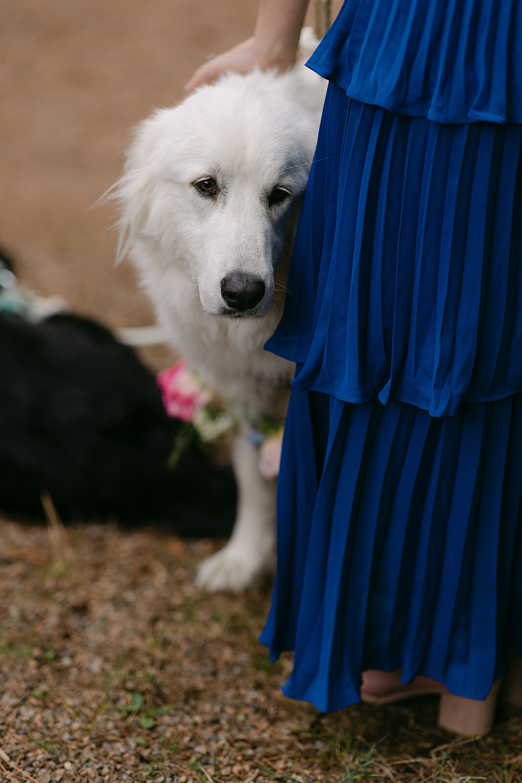 Northwoods Wedding at Camp Jorn - L_2bJ_WLP -7718
