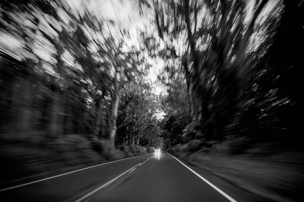 _DSC9549-Edit-2