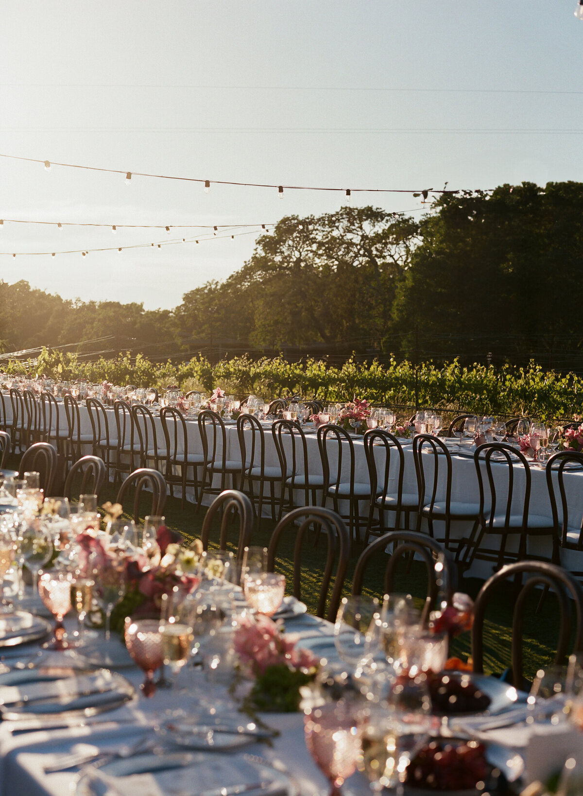 DT-2025-Abby&JordanWedding-629