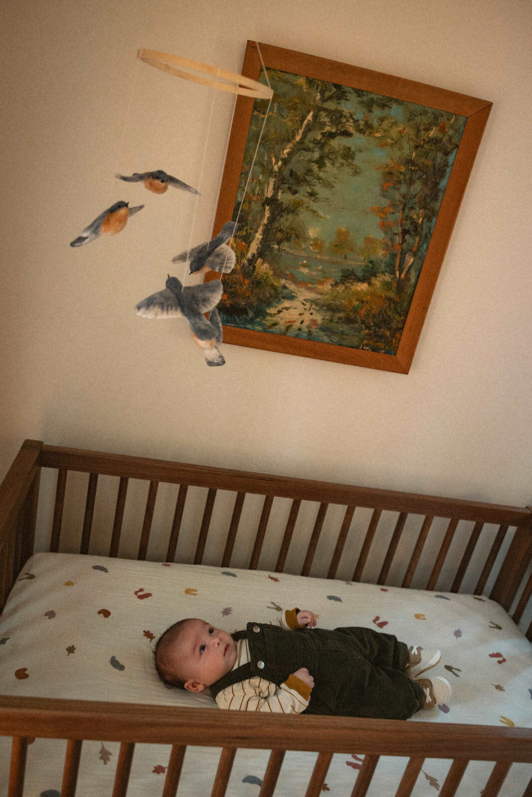 BabyJohnFall2024-43_websize