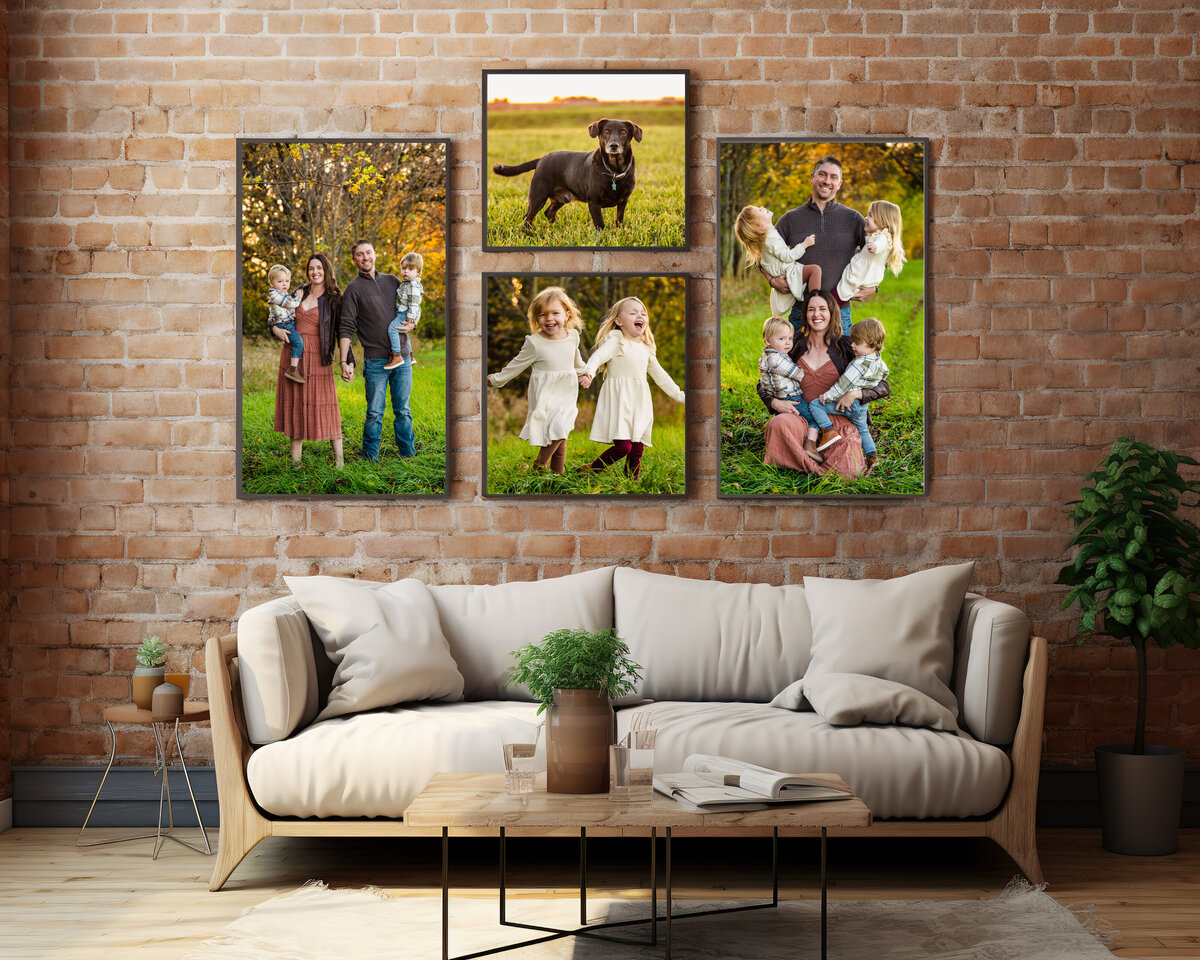 gallery-family-st-charles-portrait