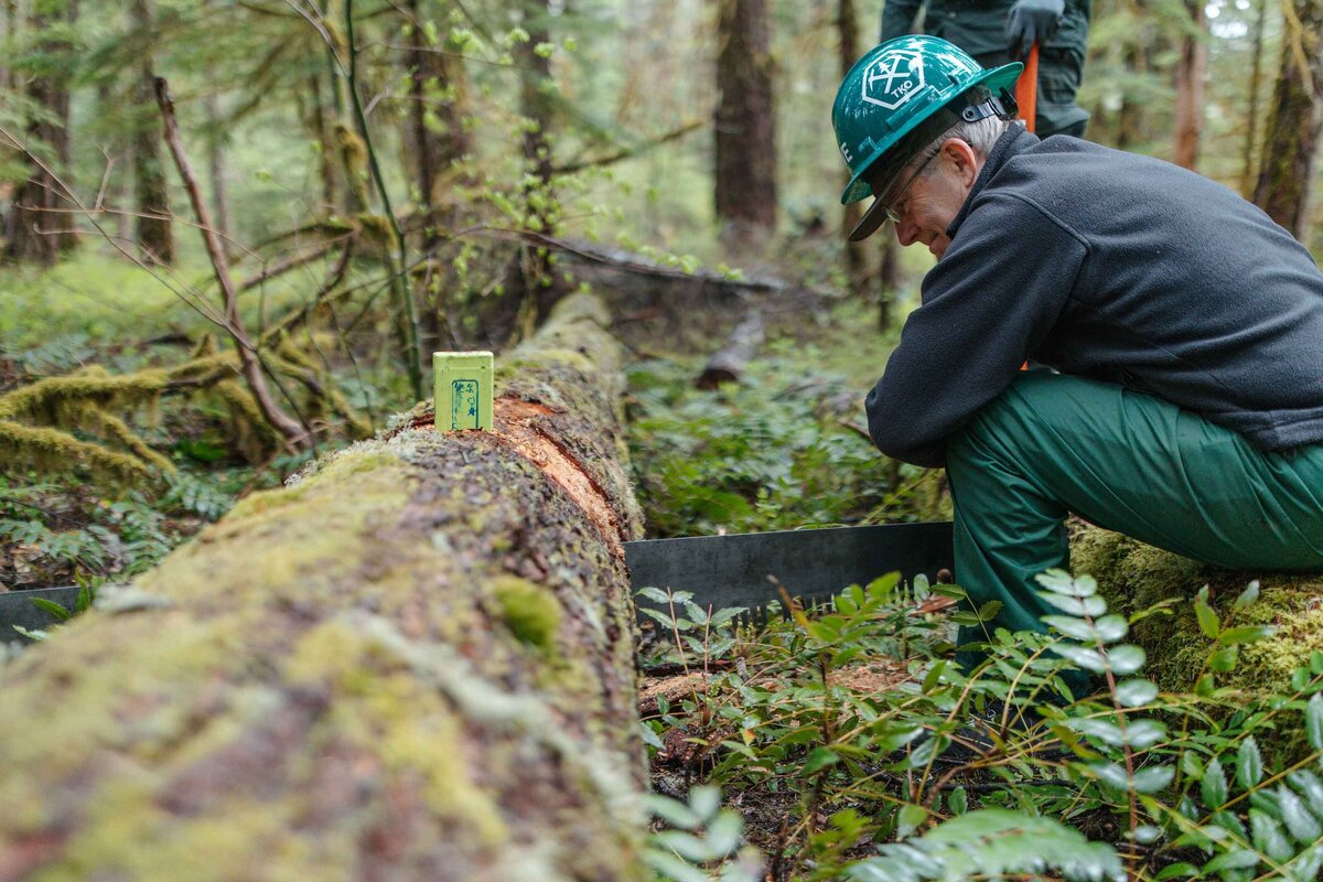 pacific-crest-trail-association-work-crews-hike-5