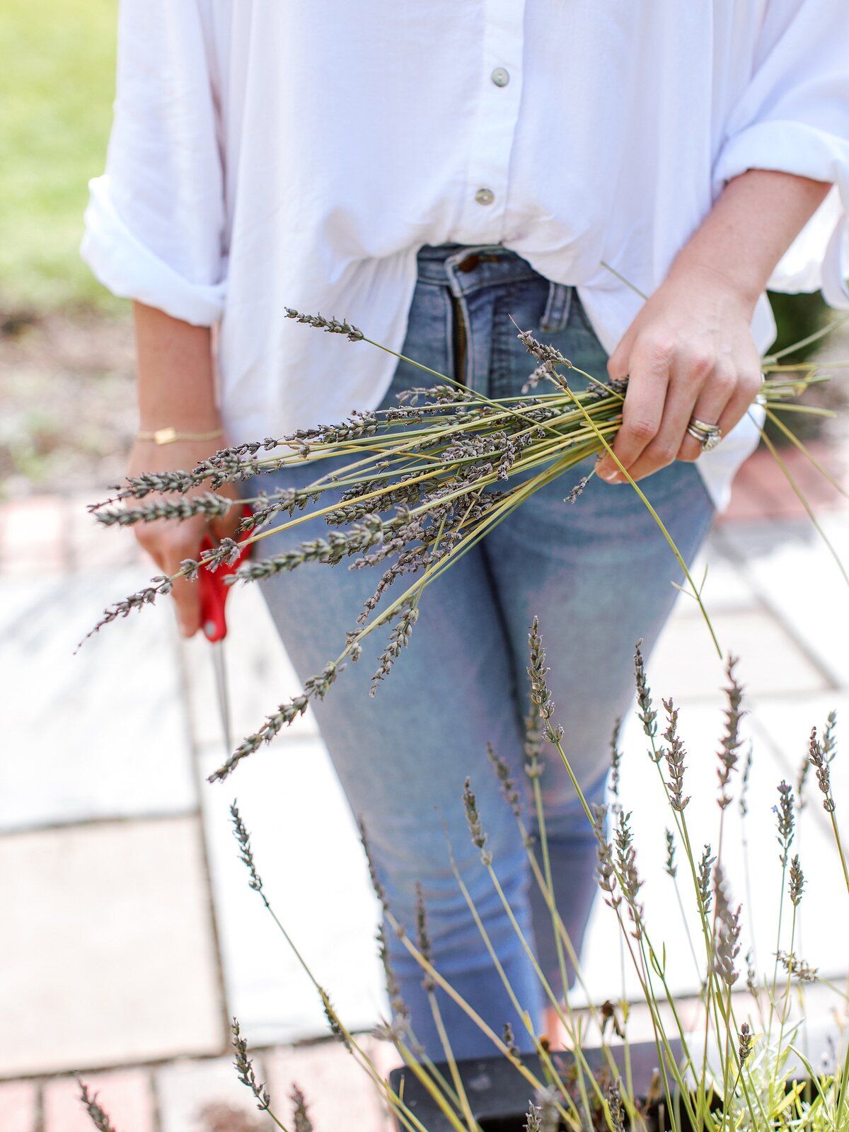 MollyCrouch_LifestyleCoach_CharlottesvilleBranding_AmyNicolePhotography-0022