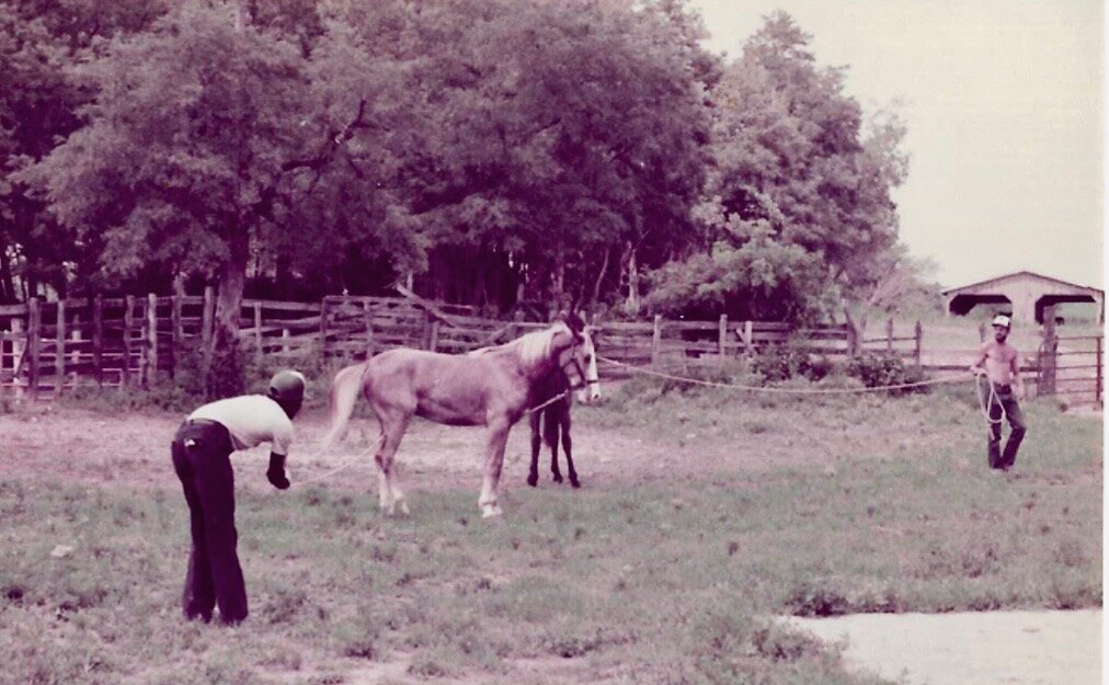 5I Leeroy and Colt