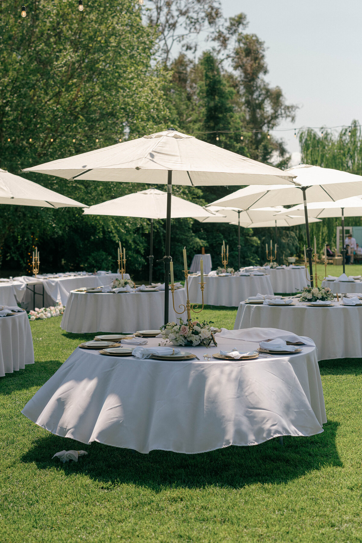 August Meadows - Hilmar, CA-9