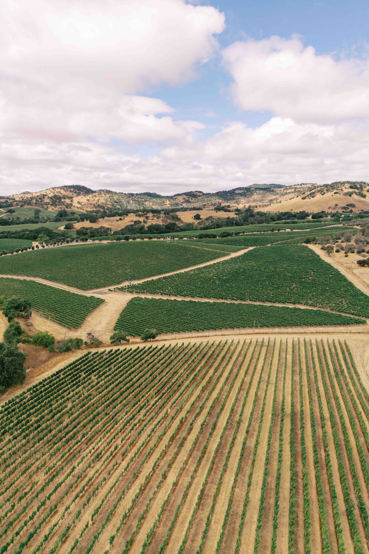 WILLOWAND-BEN-WEDDING-PHOTOGRAPHER-NAPA-45
