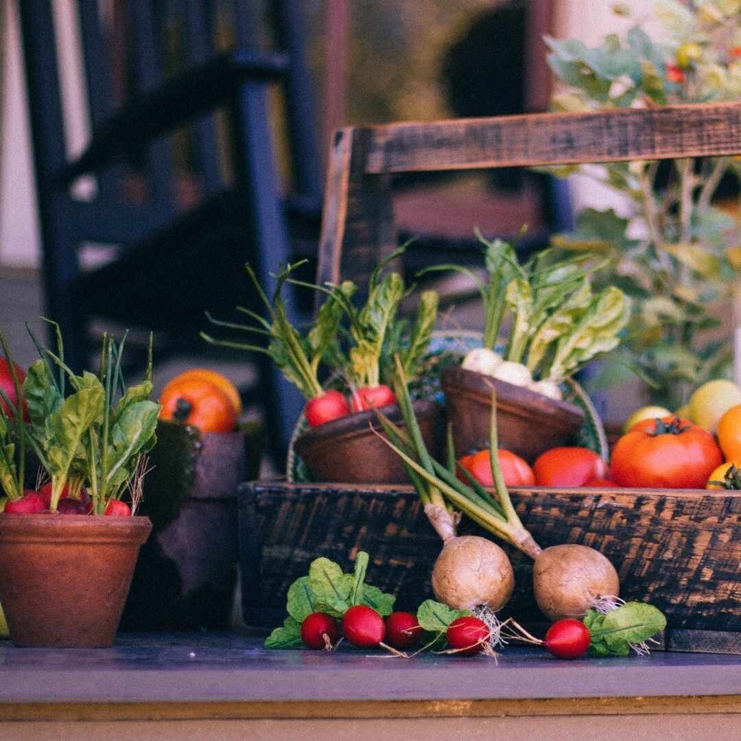 Gianna DEV template - garden