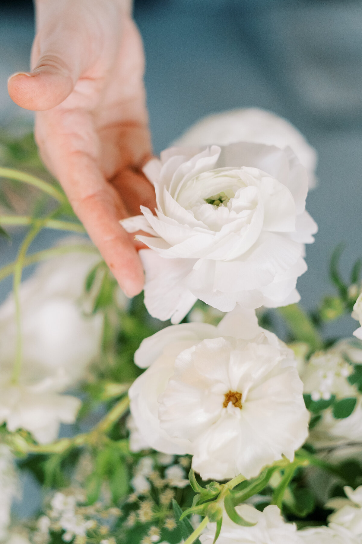 BlueBouquet-13