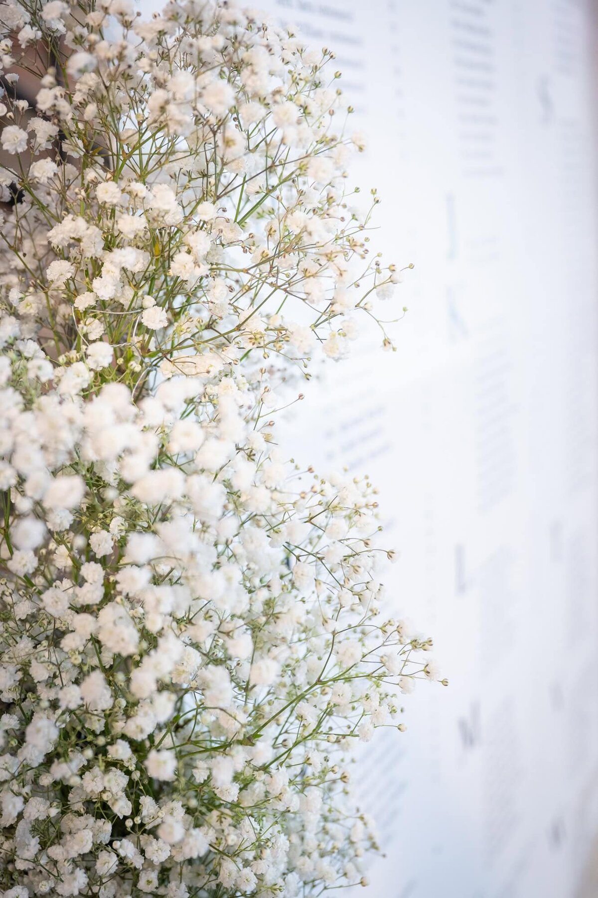 grandrapidsweddingphotographer-bloomfield-10