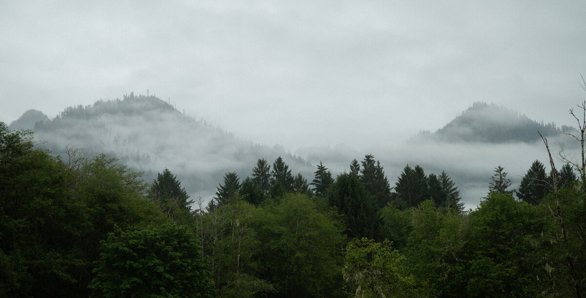 Z62_6163