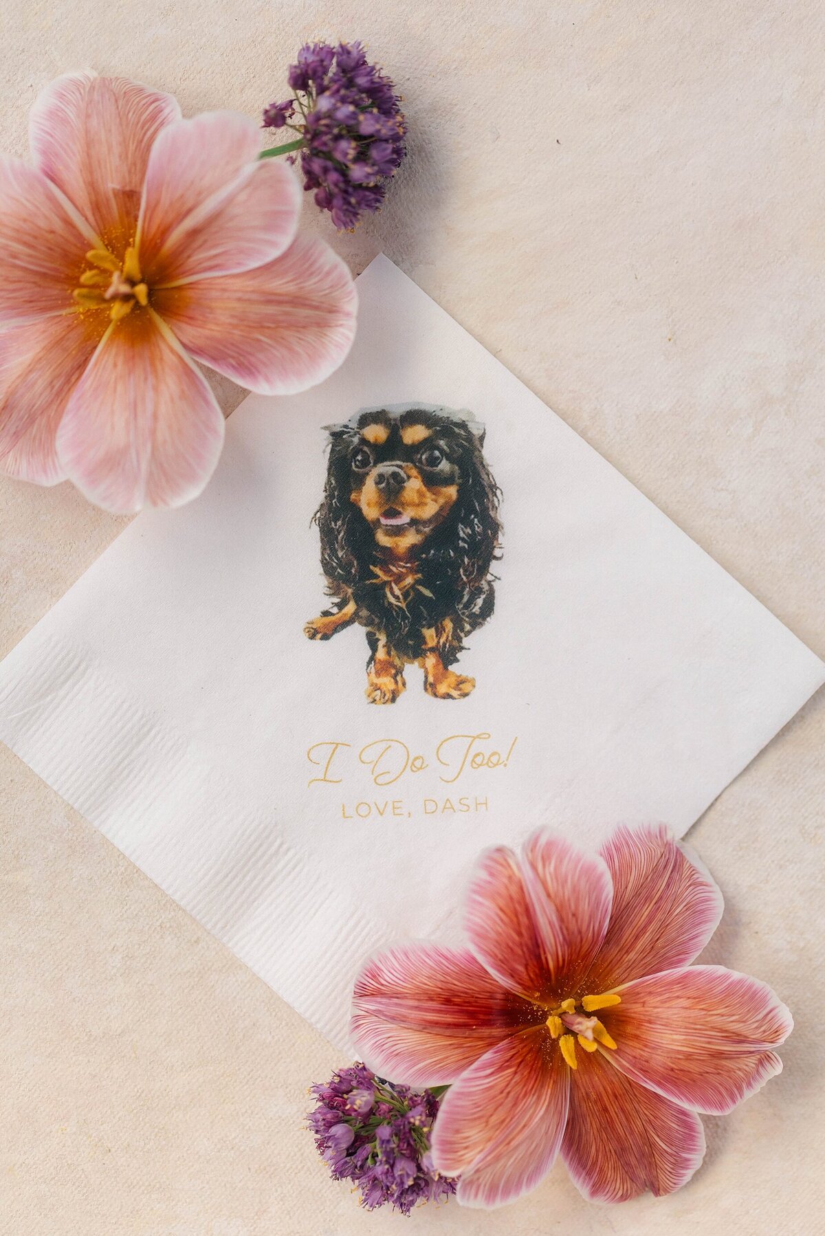 virginia beach wedding photographer_4047