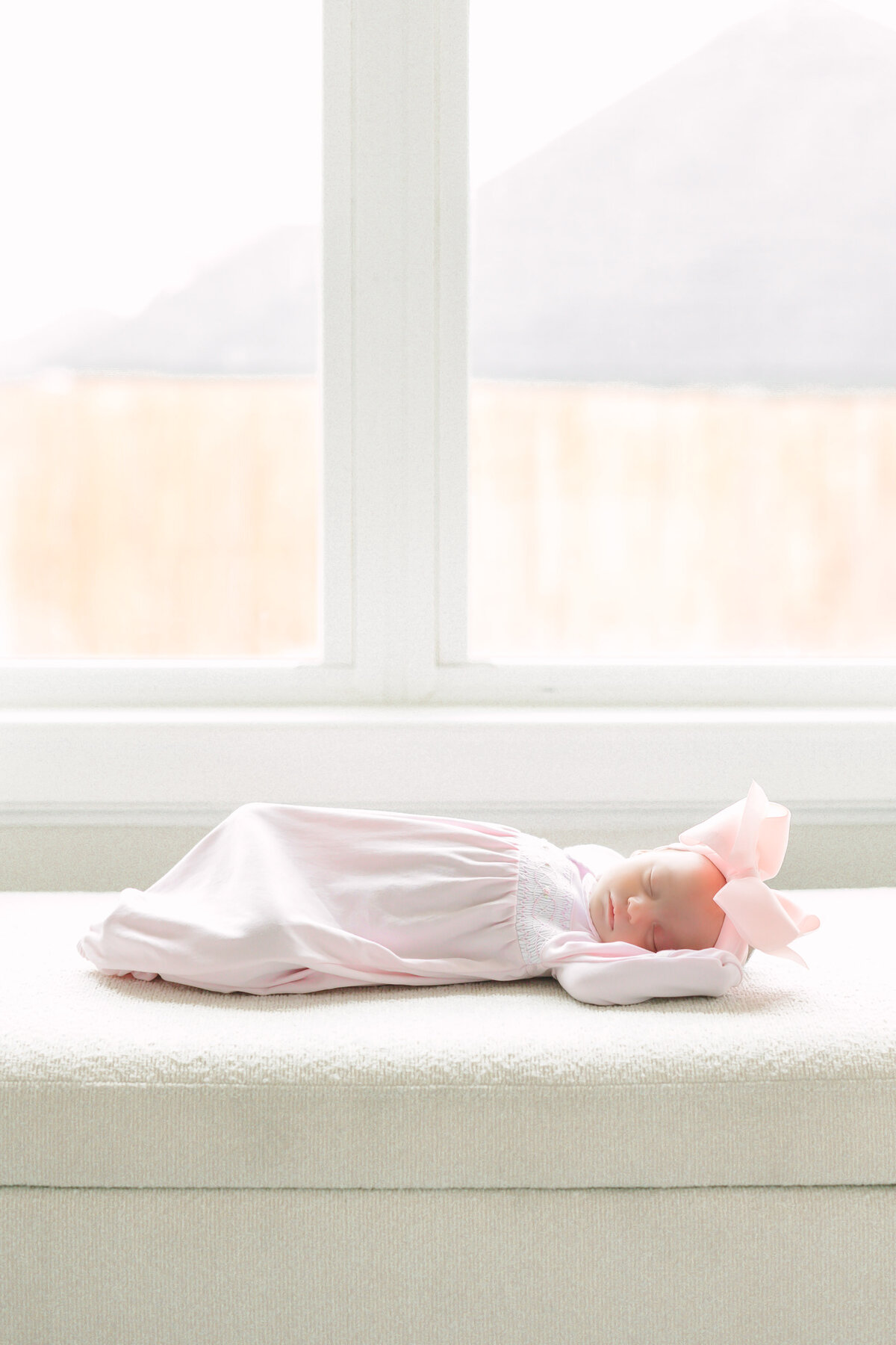 Hollyn Newborn 2024-69