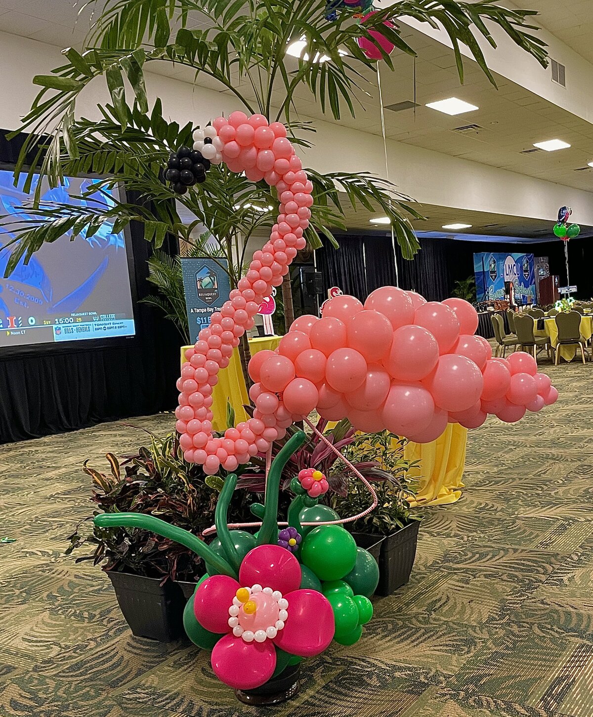 Tampa Bay Balloons 8