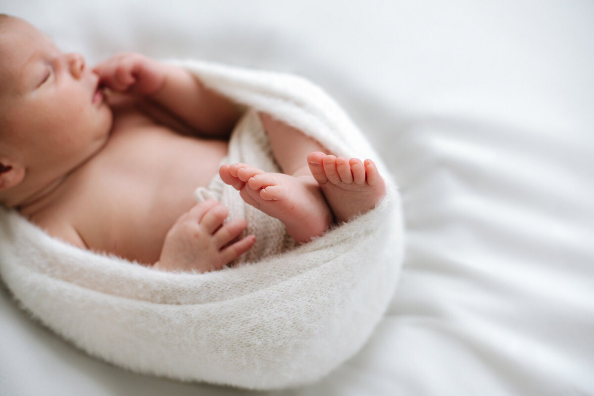 Newborn Photographer 