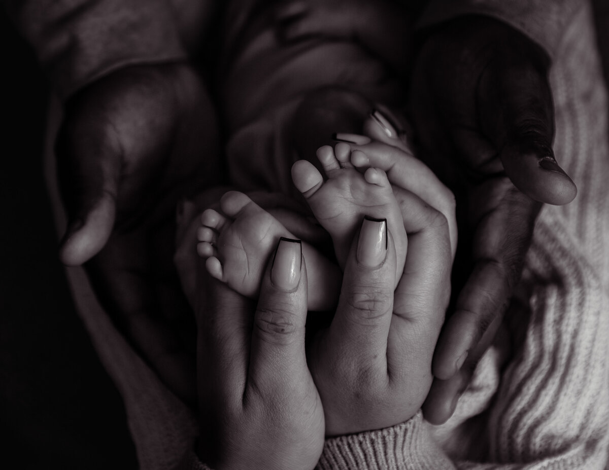 AStorytellersLensWebsite-64