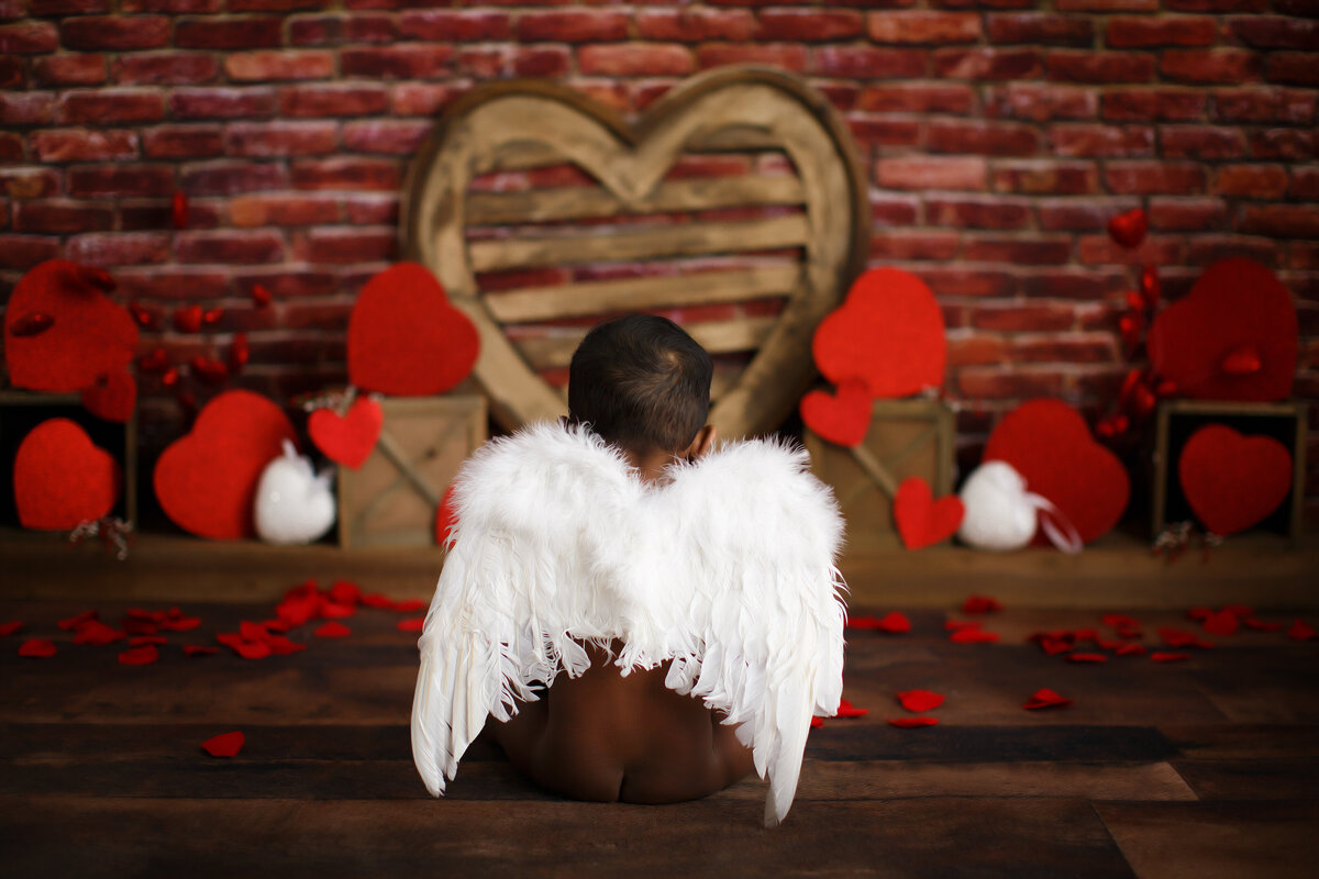 Sitter-Milestone-Photographer-Vaughan-20