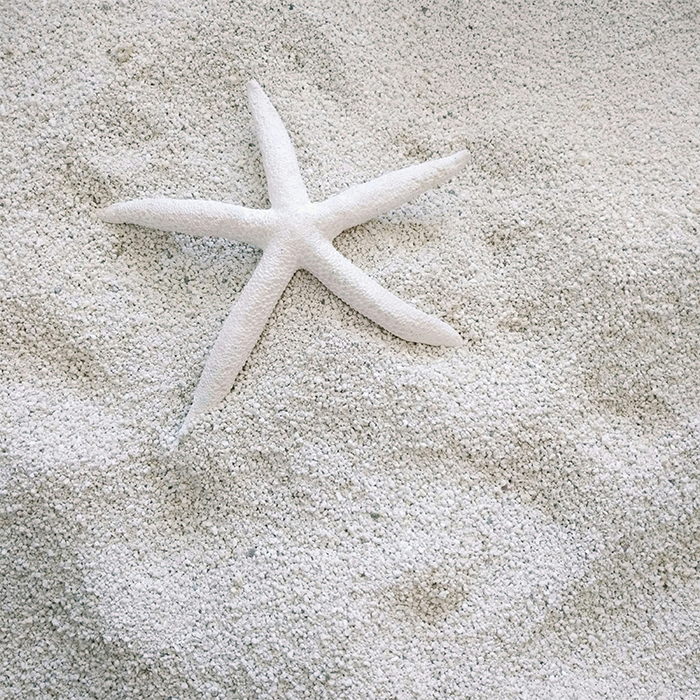 starfish-square