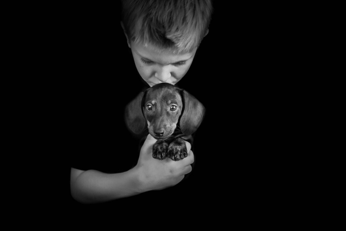 Pet Photographer Grand Junction -  041