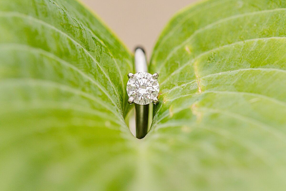silver-engagement-ring-with-round-diamond-on-leaf