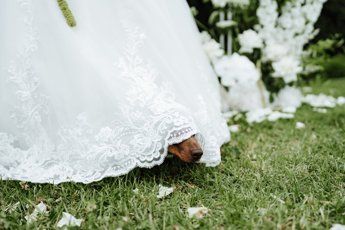 Sarah & Beau - Previews-43