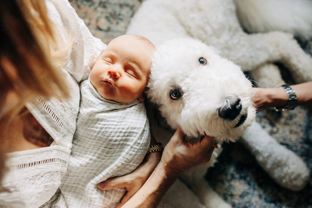 houston-newborn-photographer-2492-164